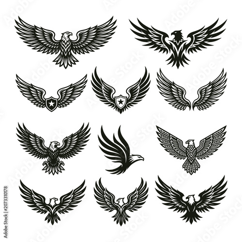 Set of Eagle Wing Emblems and Heraldic Bird Logos — Vintage Falcon, Phoenix and Shield Designs