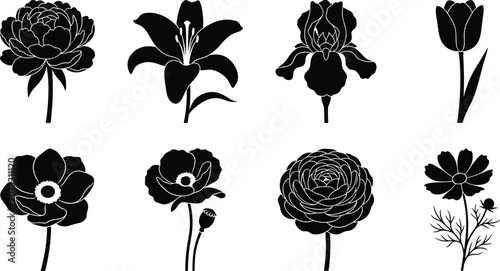 Flower silhouettes with peony, lily, iris, tulip, and more