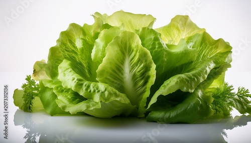 crisp green lettuce leaves are delicately arranged on a reflective white surface isolated