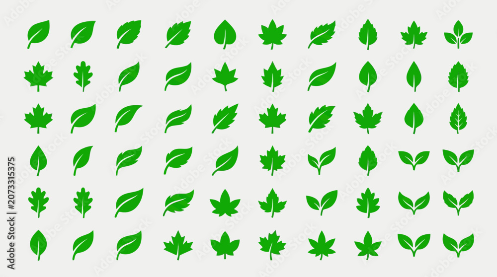 Fototapeta premium A set of leaf vector icons displayed in a grid layout.