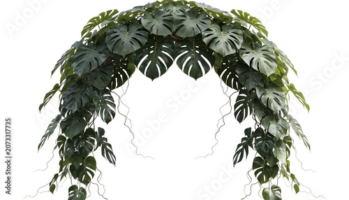 Arch made of tropical monstera leaves and jungle vines
