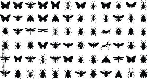 Canvas Print Black and white of various bird species in a grid pattern birds ornithology