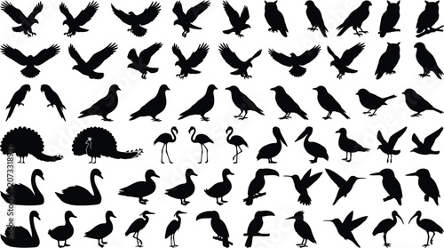 Schilderij op canvas Black and white of various birds in flight and perching flying birds perching bi
