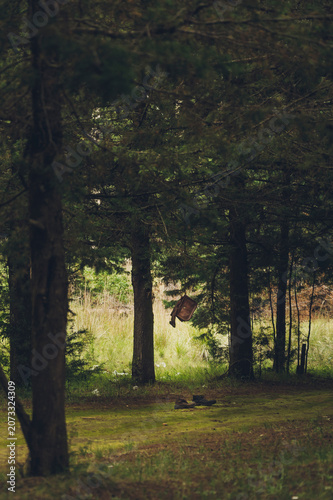 A wooded landscape with grass and trees; in the middle, a pair of abandoned boots and a bag lie on the ground; the sky is overcast, with a storm about to break.
