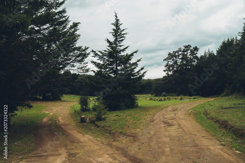 A wooded landscape with a fork in the path; the sky is overcast, and a storm is about to break.
