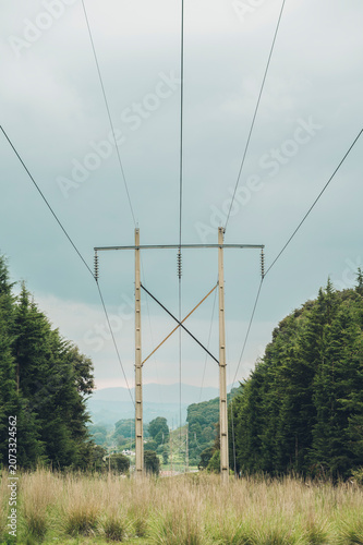 A wooded landscape with a symmetrical composition featuring electricity towers in the middle of the path; the sky is overcast, and a storm is about to break.

