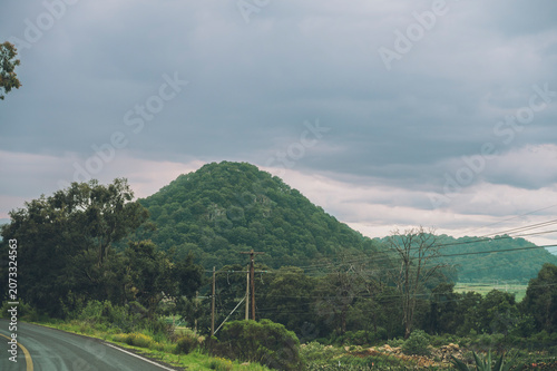 A wooded landscape featuring a cloud-covered mountain; the sky is overcast, and a storm is about to break.
