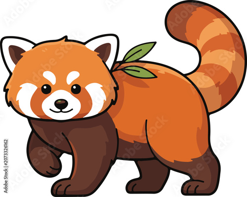 Asian Red Panda Vector Illustration