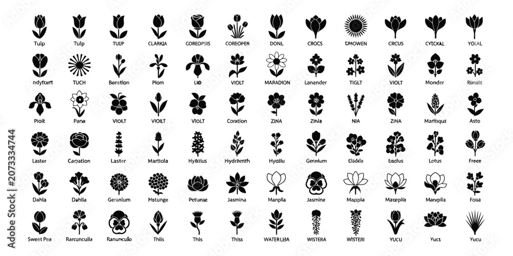 Obraz premium Collection of 72 minimalist black and white flower icons and floral silhouettes. Various botanical species including tulips, roses, lilies, lavender and wildflowers in flat vector design.