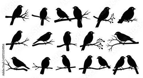 Photography Black silhouettes of birds sitting on tree branches
