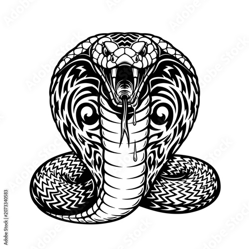 Detailed illustration of a cobra snake.