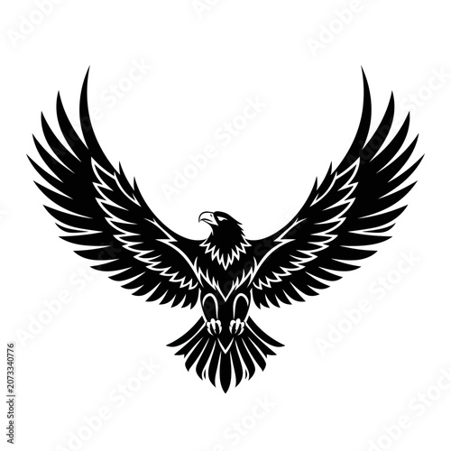 Black eagle with wings spread wide.