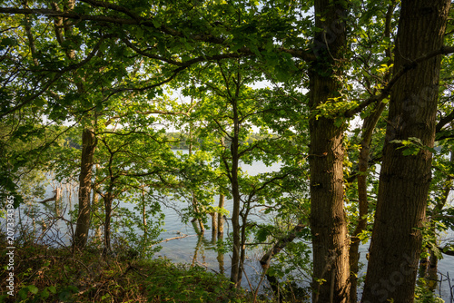 Mercers Lake near Merstham, Surrey, UK. View through trees to the lake.
