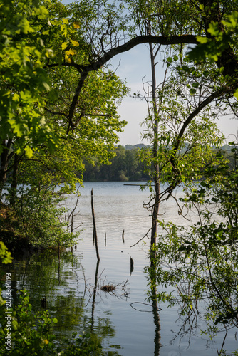 Mercers Lake near Merstham, Surrey, UK. View through trees to the cool waters of the lake.