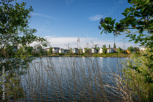 A modern housing development next to the Holmethorpe Lagoons in Mersham, Surrey, UK. Trees and reeds in the foreground. Landscape orientation. Focus on foreground.