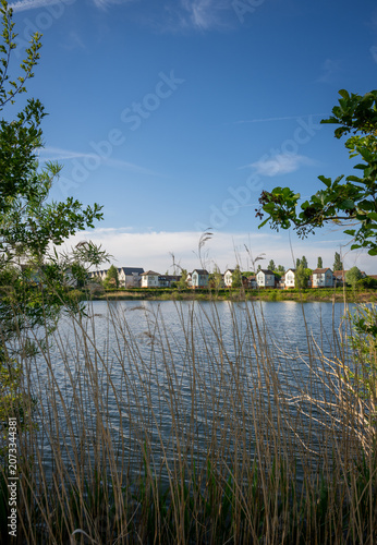 A modern housing development next to the Holmethorpe Lagoons in Mersham, Surrey, UK. Trees and reeds in the foreground. Portrait orientation.