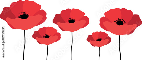 Red Poppy Flower Vector Set with Flat Botanical Anzac Day Remembrance Symbols for Greeting Cards Memorial Graphics and Surface Pattern Designs