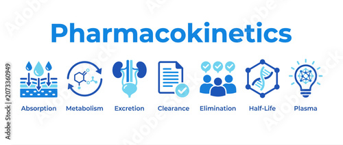 Pharmacokinetics concept infographic with icons representing drug absorption, metabolism, excretion, clearance, elimination, halflife, and plasma