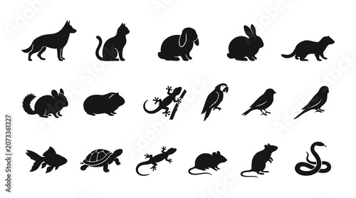 Bild auf Leinwand Collection of animal silhouettes including a dog cat rabbit rodent bird reptile