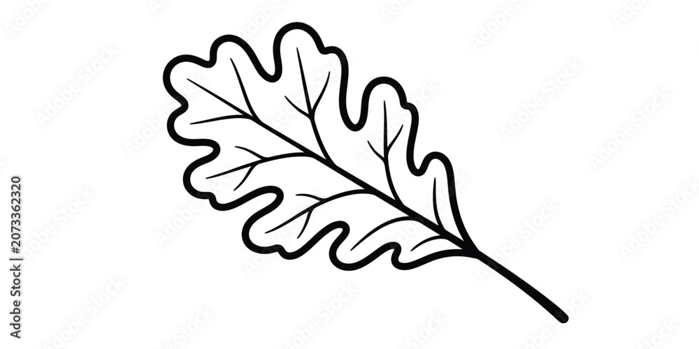 Fototapeta premium Oak leaf line art illustration isolated on white background