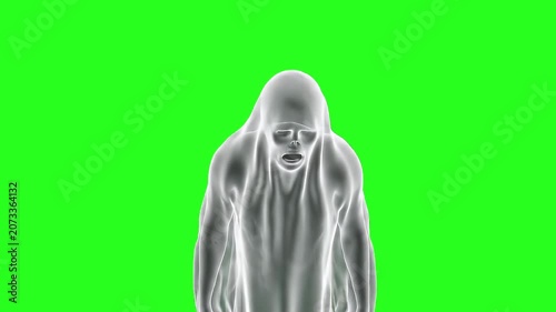 Scary White Ghost Screaming and Raising Hands in Despair on Green Screen Chroma Key