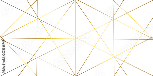 Schilderij op canvas Random geometric line pattern on a transparent background