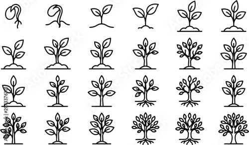 Detailed vector illustration showing the complete biological life cycle of a growing plant from a tiny seed to a fully developed tree with many leaves