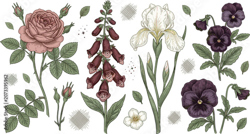 Quadro su tela Set of vintage hand drawn botanical flower vector illustrations featuring detail