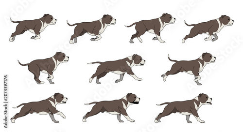 Animation sprite sheet of a brown and white pitbull dog running in a smooth continuous loop for game development projects.