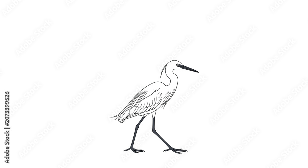 Obraz premium Minimalist line art drawing of an elegant white heron or egret walking gracefully on a white background for coloring pages.