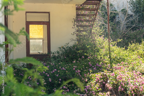 Obraz na plátne An abandoned overgrown hotel braided with beautiful flowering plants