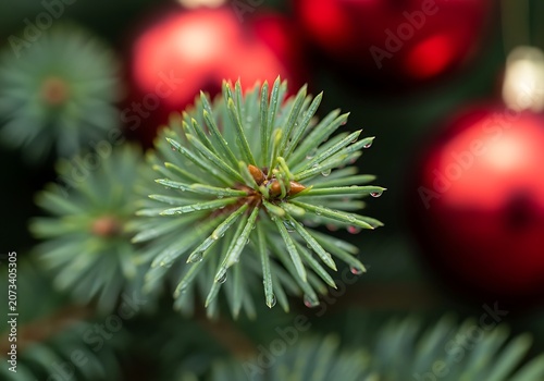 Macro view of green spruce needles with droplets and ornaments 0t39dse8c