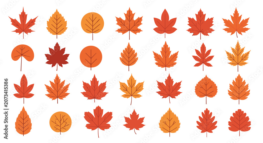 Fototapeta premium Large collection of twenty eight autumn tree leaves in warm yellow, orange, and red colors on a white background.