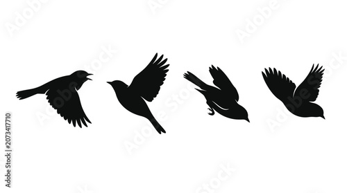 Four distinct black silhouettes of flying birds captured in motion with elegant artistic vector wing shapes