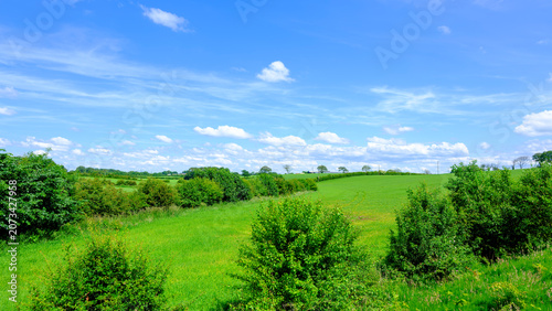 Vibrant green field stretches under a clear blue sky. Soft clouds drift lazily overhead. Bushes dot the rolling landscape's edge. Sunlit grass sways gently in the breeze.