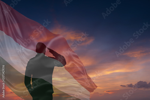 Schilderij op canvas Silhouette of military mans and National flag of Hungary