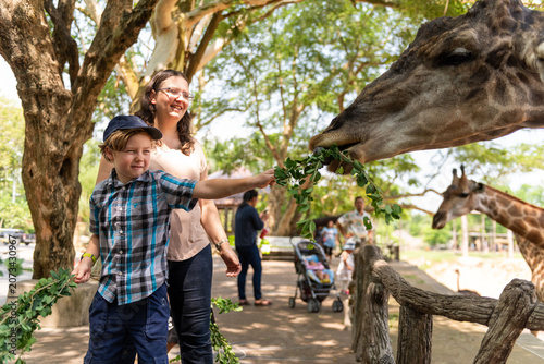 Canvas Print Family feeding giraffes at zoo
