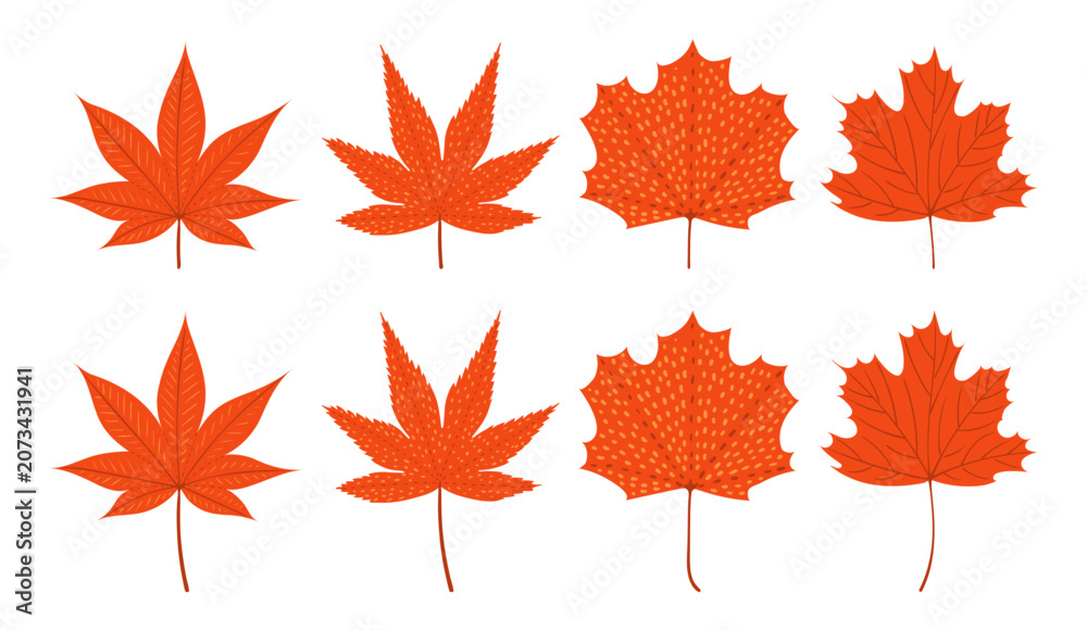 Fototapeta premium Momiji, maple tree leaves in autumn illustration isolated set. Falling leaves, bright red foliage. Seasonal plant, decorative design element, botanical clip art collection. Hand drawn flat vector