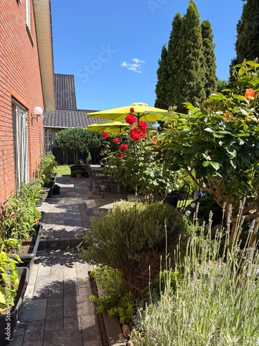 Garten im Sommer.