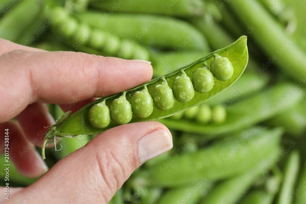 Obraz premium Woman with fresh green peas over pods, above view