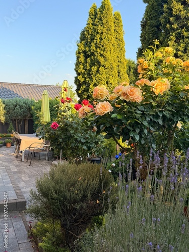 Garten im Sommer.