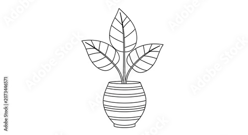 Simple black and white line art illustration of a houseplant with three large leaves growing in a decorative striped ceramic pot.