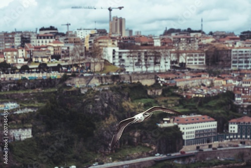 A seagull glides effortlessly over Porto's picturesque cityscape, capturing the essence of coastal charm intertwined with vibrant urban living, framed by dramatic clouds and historical architecture