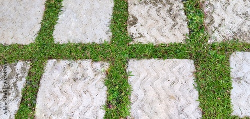 ectangular concrete paving blocks separated by green grass texture.