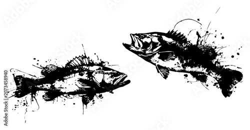 Konstfotografi Predatory Bass Fish Set Fishing Art Ink Splatter Grunge Style Wildlife Vector Il