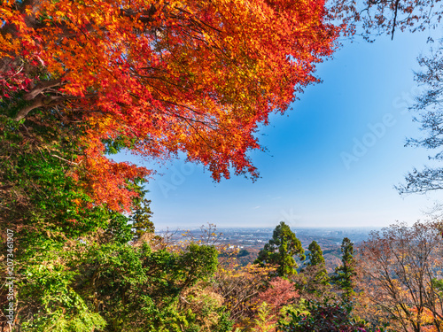 Tableau sur toile 日本高美山紅葉1