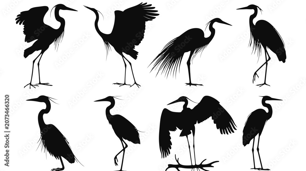 Obraz premium Heron silhouette vector collection, set of 8 black crane and egret bird shapes, standing and flying water bird silhouettes on white background