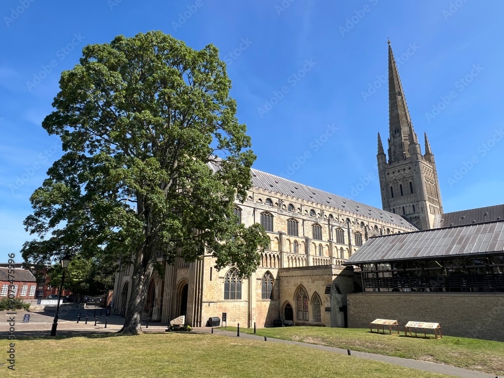 Obraz premium Norwich cathedral in Norfolk, England