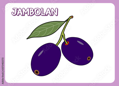 Jambalaya Fruit Vector Illustration Isolated on White Background