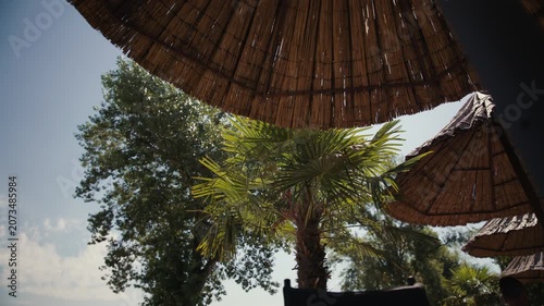 Straw beach umbrellas and a palm tree are seen at a beach area at Jarun in Zagreb, Croatia.